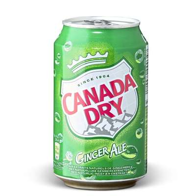 CANADA DRY GINGER ALE CAN 33 CL (24U.)